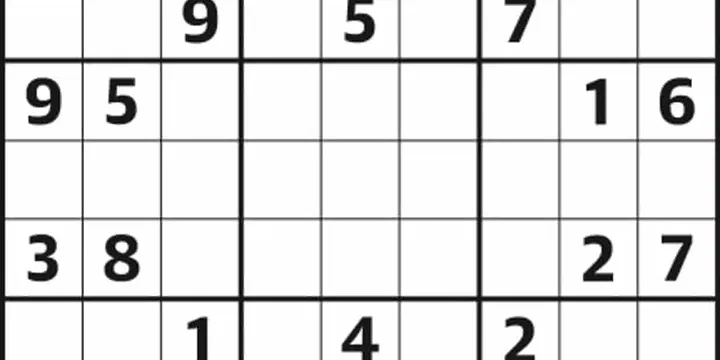 Sudoku solvers